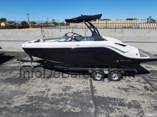 Bayliner DX2250 ficha técnica y opiniones